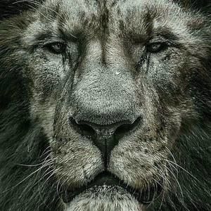 Meet your Posher, GonzÃ¡lez